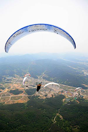Advance in Korea 2008