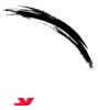 apco-logo
