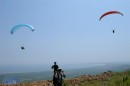 seawindfly3
