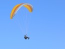 Independence Garuda intermediate paraglider
