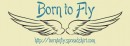 Born2Fly-logo