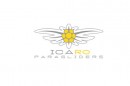 Icaro's new flying Edelweiss logo for 2010