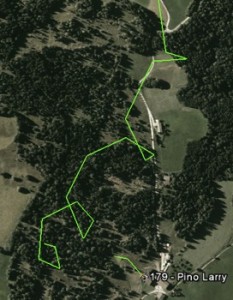 Larry Pino lands safely under reserve as seen on Google Earth