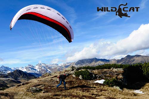 icaro-wildcat-intermediate-paraglider-with-logo Icaro Paragliders EN B Wildcat
