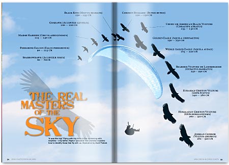 The Real Masters of the Sky