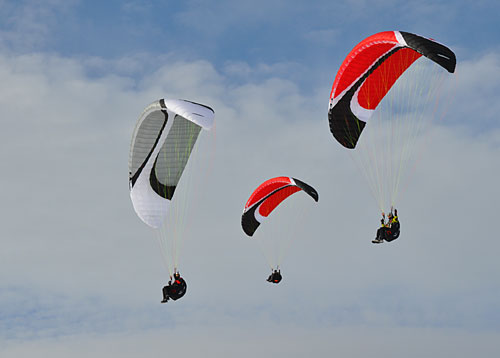 Skyline's new EN A beginner and fun wing, the Owl