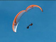 TeamFreestyle