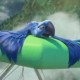 Rio the Movie