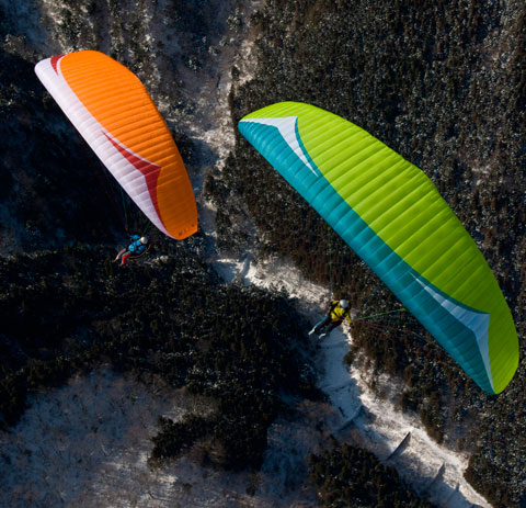 Gin Sprint Evos. Photo: Jerome Maupoint