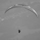 Ozone release EN D comp wing