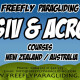 Freefly Paragliding SIV and acro courses