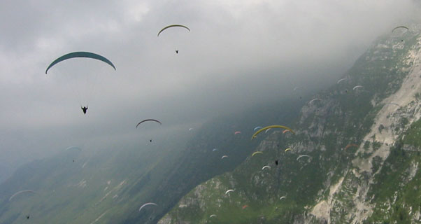 Close to base. Photo: Adrian Thomas Close to base. Photo: Adrian Thomas