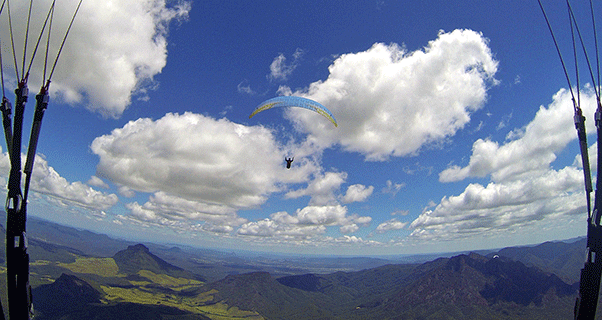 Guide to Canungra, Australia