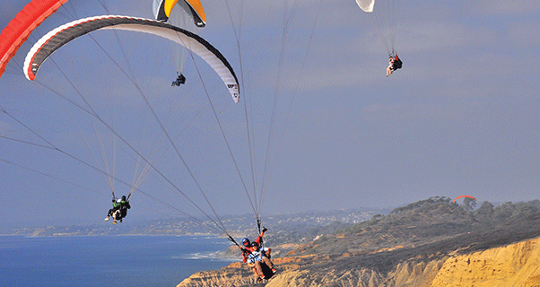 Guide to Torrey Pines, USA