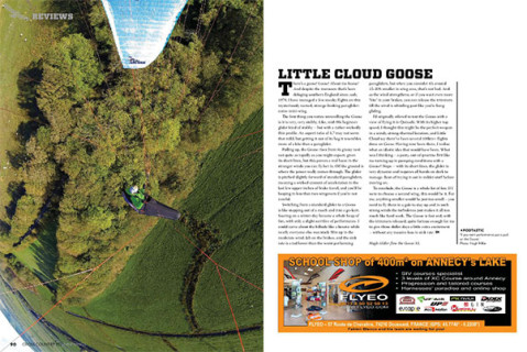 Little Cloud Goose