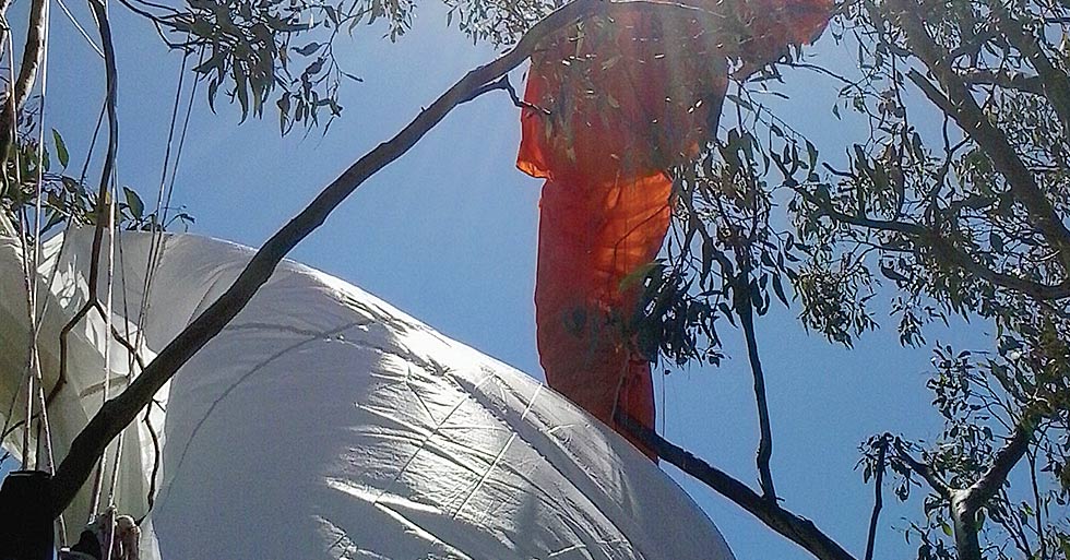 Paraglider in a tree